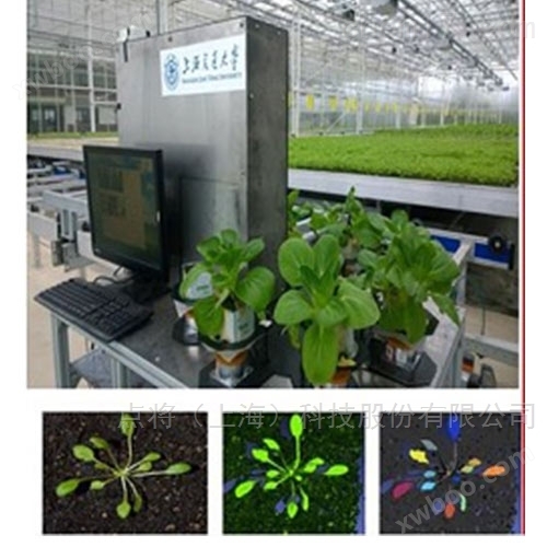 DJ-PG01植物表型与生长参数协同监测系统