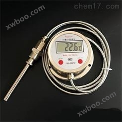WMZ-200数显温度计，LED显示数字仪表