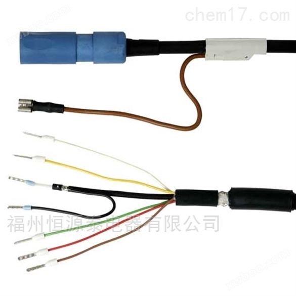 CYK10-L051德国E+H电缆（PH电极）