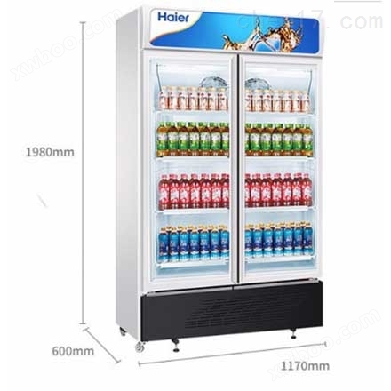 冷藏保鲜柜立式双门展示柜冷饮玻璃门冰柜