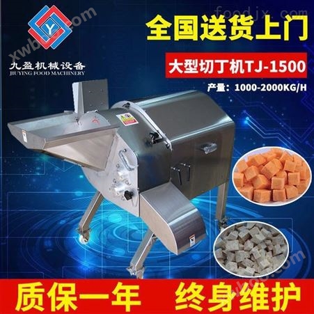 九盈大型果蔬切丁机设备厂家TJ-1500 切菜机
