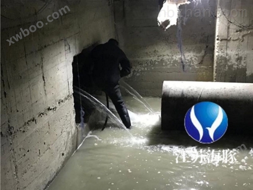 乌兰浩特市水下管道堵漏公司、蛙人潜水作业解决方案