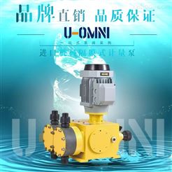 機械隔膜式計量泵-美國歐姆尼U-OMNI