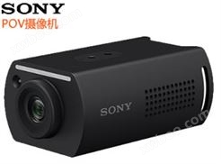 索尼- POV 广角镜头4K摄像机(SRGXP1)