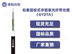 GYDTA-288芯，松套层绞式非铠装光缆，电力光缆厂家，室外光缆价格