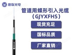 GJYXFHS -1芯，管道用蝶形引入光缆，电力光缆厂家，室内光缆价格