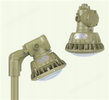 HRD92系列防爆高效节能LED灯（IIC)