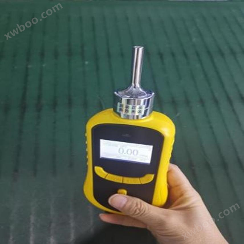 便携式氧气o2检测仪 矿用氧气浓度检测仪 手持式复合气体检测仪货号H9834
