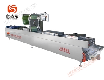 DZR-420J双面智能拉伸包装机