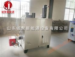 燃气/油蒸汽发生器