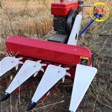 RH-GSJ-12养牛人用苜蓿草割晒机 柴油机一体收割机