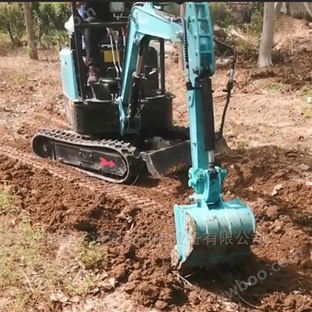 葡萄树种植小挖掘机_拉铲式小挖机大图ljy7