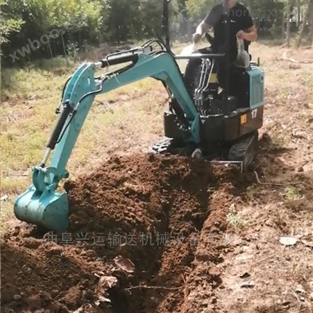 葡萄树种植小挖掘机_拉铲式小挖机大图ljy7