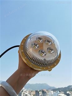 医药行业LED防爆灯15W20瓦LED防爆吸顶灯