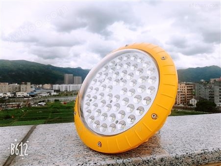 吸顶式LED防爆应急灯食品厂60W防爆照明灯