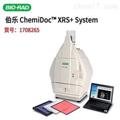 Bio-Rad伯樂ChemiDoc XRS+凝膠成像系統現貨