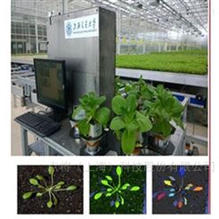 DJ-PG01植物表型與生長參數協同監測系統