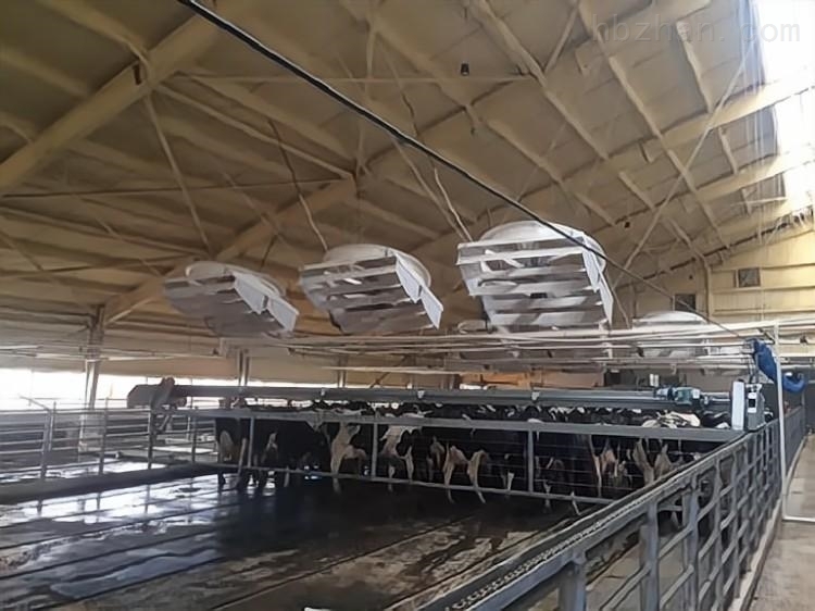 现代化牛舍降温风机布置视频